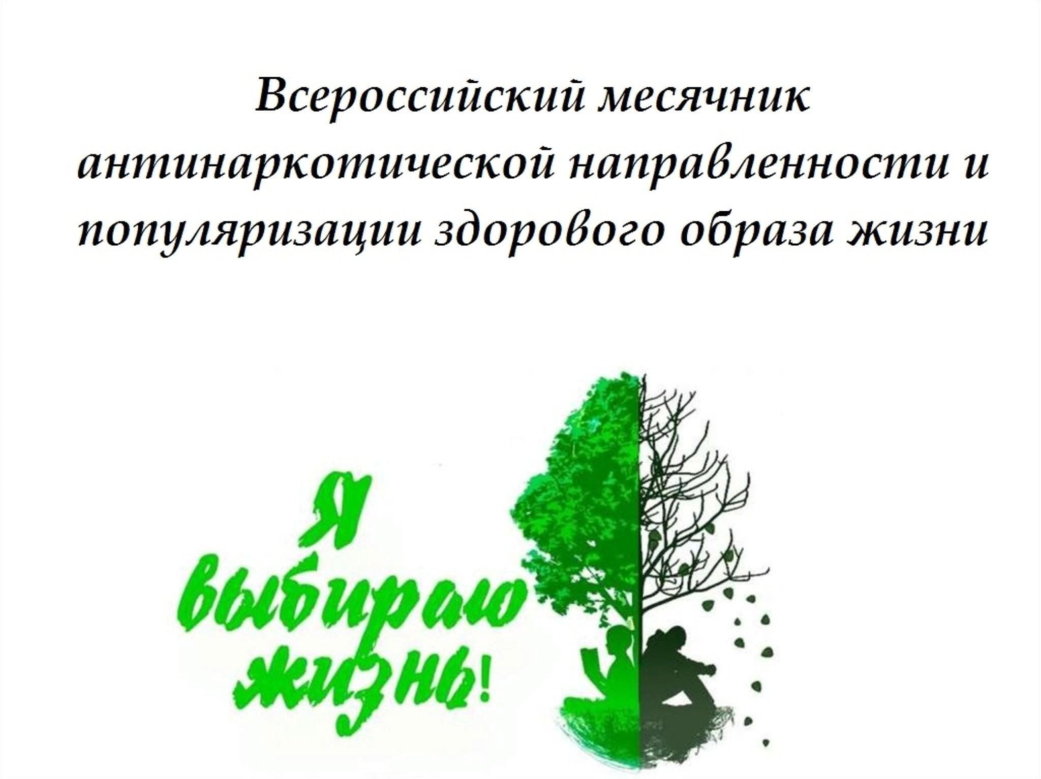 693586d3 d708 5e8f b0e6 4dd9c58b4158
